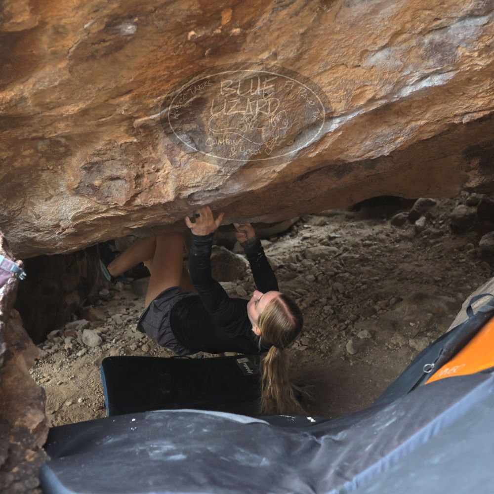 

Filename: SRM_20221203_1413500.jpg
Aperture: f/4.0
Shutter Speed: 1/800
Body: Canon EOS R6
Lens: Canon EF 50mm f/1.8 II