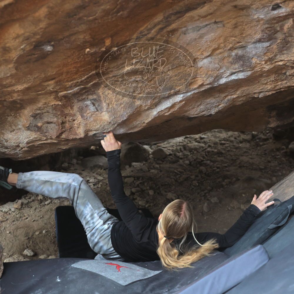 

Filename: SRM_20221203_1432150.jpg
Aperture: f/4.0
Shutter Speed: 1/800
Body: Canon EOS R6
Lens: Canon EF 50mm f/1.8 II