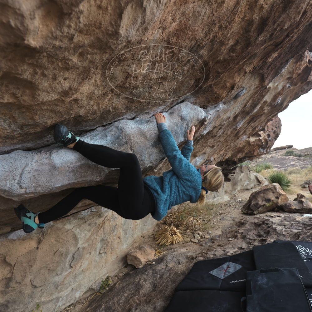 

Filename: SRM_20221203_1510560.jpg
Aperture: f/4.0
Shutter Speed: 1/400
Body: Canon EOS R6
Lens: Canon EF 16-35mm f/2.8 L