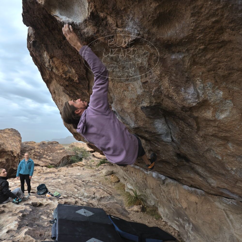 

Filename: SRM_20221203_1513240.jpg
Aperture: f/4.0
Shutter Speed: 1/400
Body: Canon EOS R6
Lens: Canon EF 16-35mm f/2.8 L