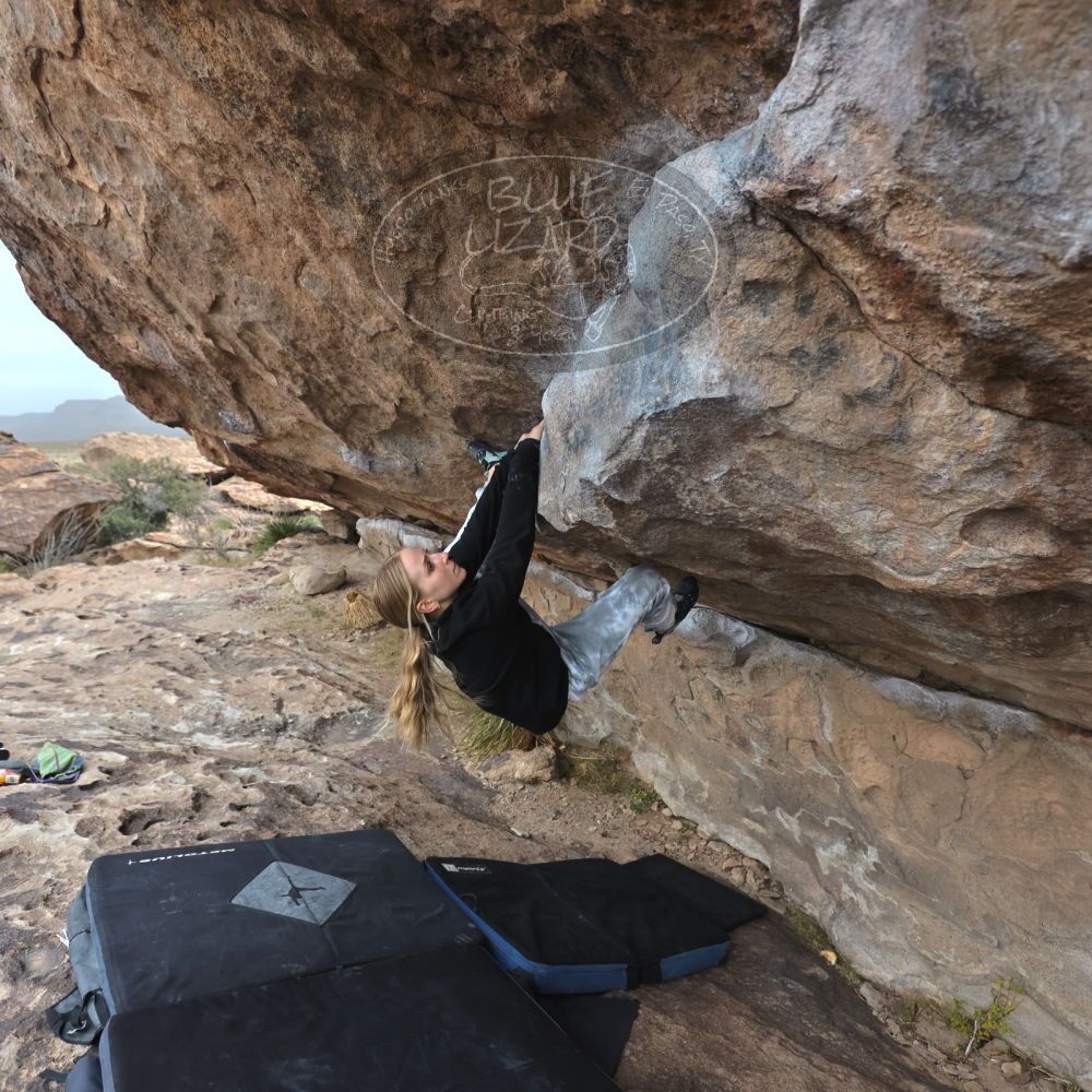 

Filename: SRM_20221203_1518190.jpg
Aperture: f/4.0
Shutter Speed: 1/400
Body: Canon EOS R6
Lens: Canon EF 16-35mm f/2.8 L