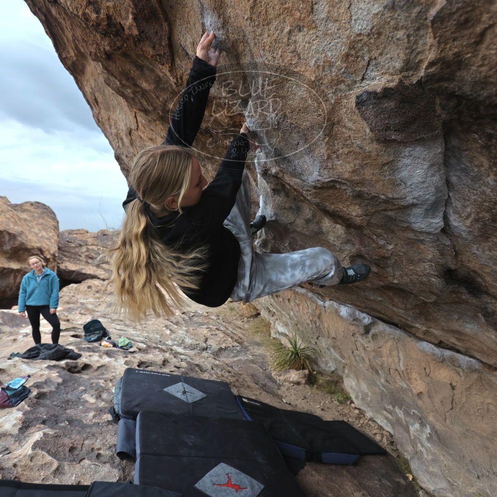 

Filename: SRM_20221203_1518480.jpg
Aperture: f/4.0
Shutter Speed: 1/400
Body: Canon EOS R6
Lens: Canon EF 16-35mm f/2.8 L