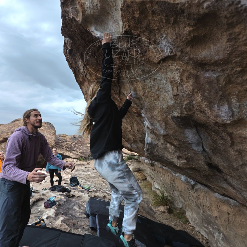 

Filename: SRM_20221203_1518522.jpg
Aperture: f/4.0
Shutter Speed: 1/400
Body: Canon EOS R6
Lens: Canon EF 16-35mm f/2.8 L