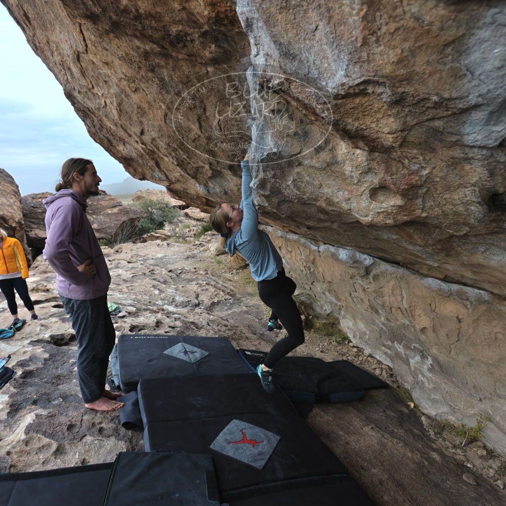 

Filename: SRM_20221203_1528530.jpg
Aperture: f/4.0
Shutter Speed: 1/400
Body: Canon EOS R6
Lens: Canon EF 16-35mm f/2.8 L