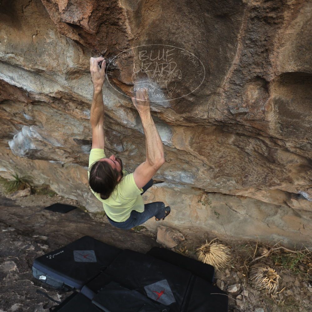 

Filename: SRM_20221203_1544040.jpg
Aperture: f/4.0
Shutter Speed: 1/400
Body: Canon EOS R6
Lens: Canon EF 16-35mm f/2.8 L