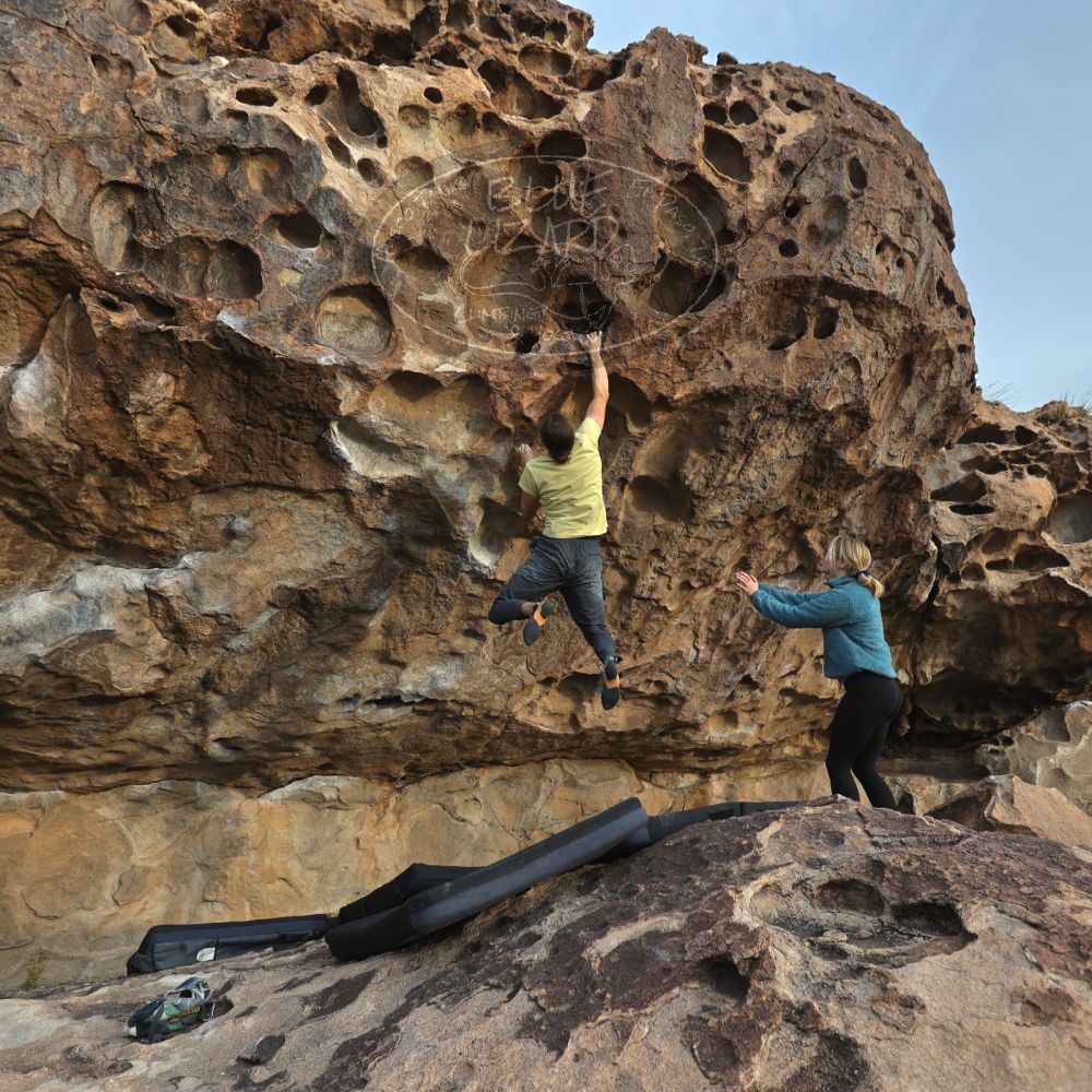 

Filename: SRM_20221203_1546390.jpg
Aperture: f/4.0
Shutter Speed: 1/400
Body: Canon EOS R6
Lens: Canon EF 16-35mm f/2.8 L