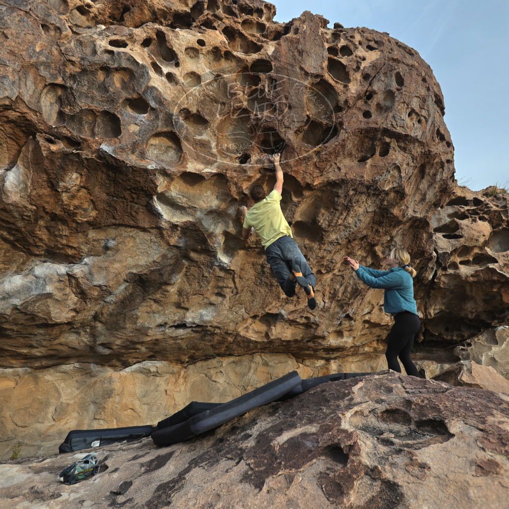 

Filename: SRM_20221203_1546392.jpg
Aperture: f/4.0
Shutter Speed: 1/400
Body: Canon EOS R6
Lens: Canon EF 16-35mm f/2.8 L