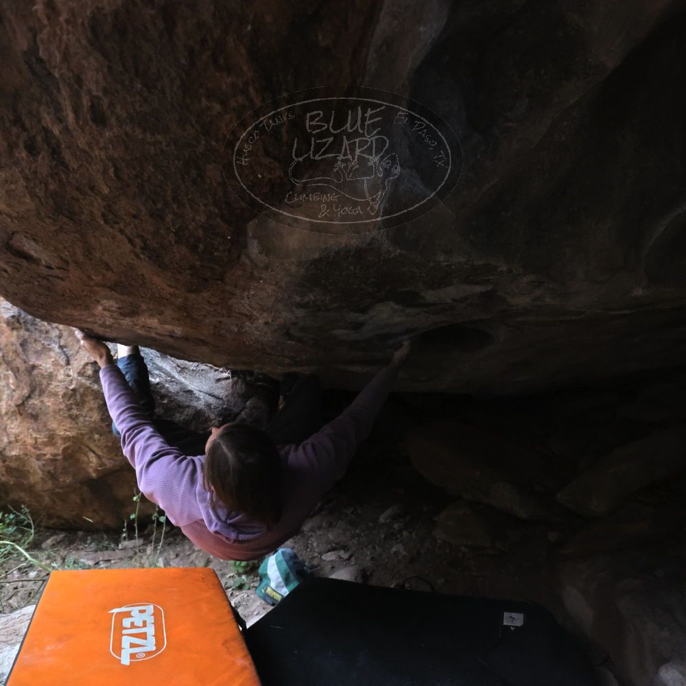 

Filename: SRM_20221203_1642010.jpg
Aperture: f/4.0
Shutter Speed: 1/400
Body: Canon EOS R6
Lens: Canon EF 16-35mm f/2.8 L