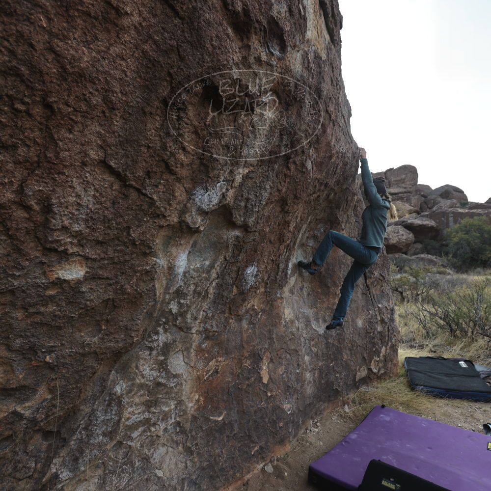 Filename: SRM_20221204_0900360.jpg
Aperture: f/4.5
Shutter Speed: 1/400
Body: Canon EOS R6
Lens: Canon EF 16-35mm f/2.8 L