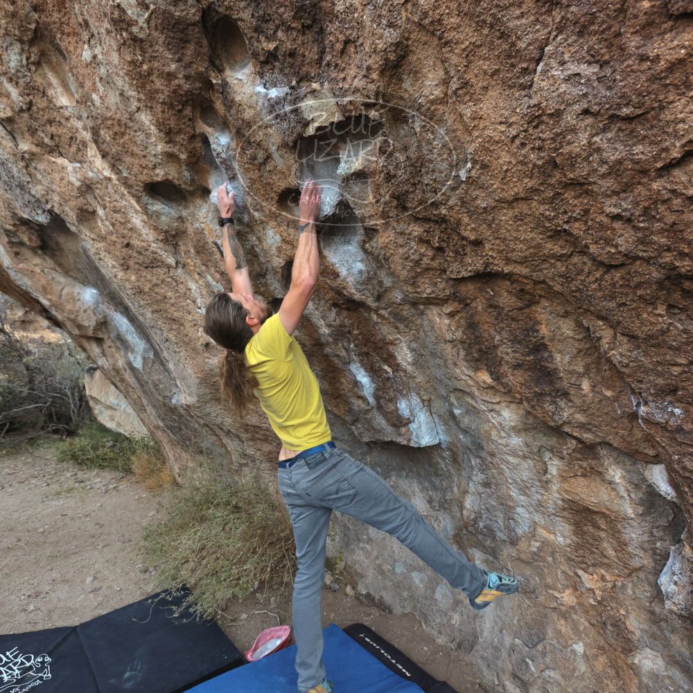 Filename: SRM_20221204_0902000.jpg
Aperture: f/5.6
Shutter Speed: 1/400
Body: Canon EOS R6
Lens: Canon EF 16-35mm f/2.8 L