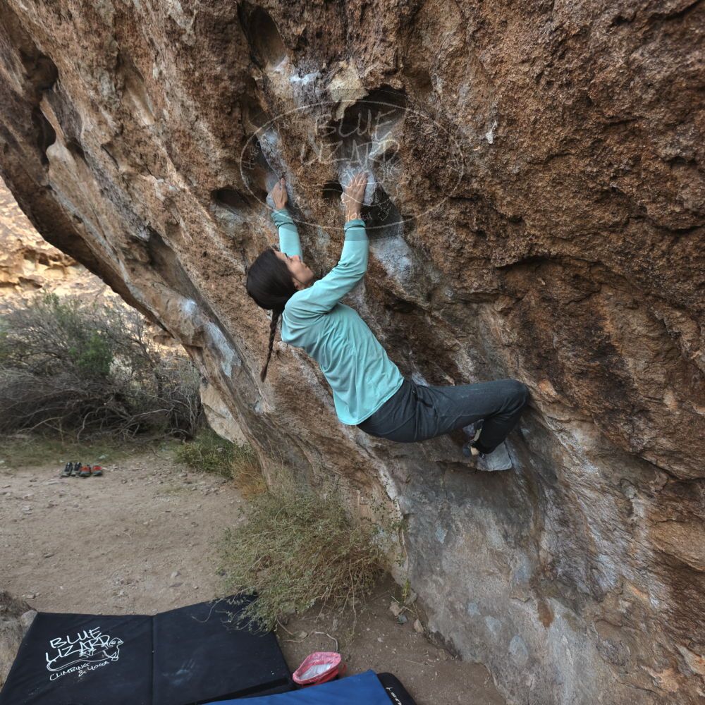 Filename: SRM_20221204_0908170.jpg
Aperture: f/5.6
Shutter Speed: 1/400
Body: Canon EOS R6
Lens: Canon EF 16-35mm f/2.8 L