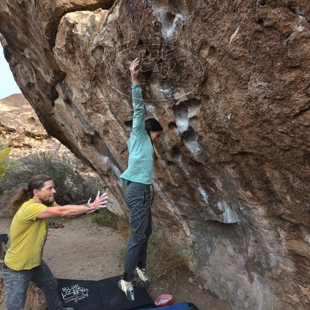 Filename: SRM_20221204_0908261.jpg
Aperture: f/5.6
Shutter Speed: 1/400
Body: Canon EOS R6
Lens: Canon EF 16-35mm f/2.8 L