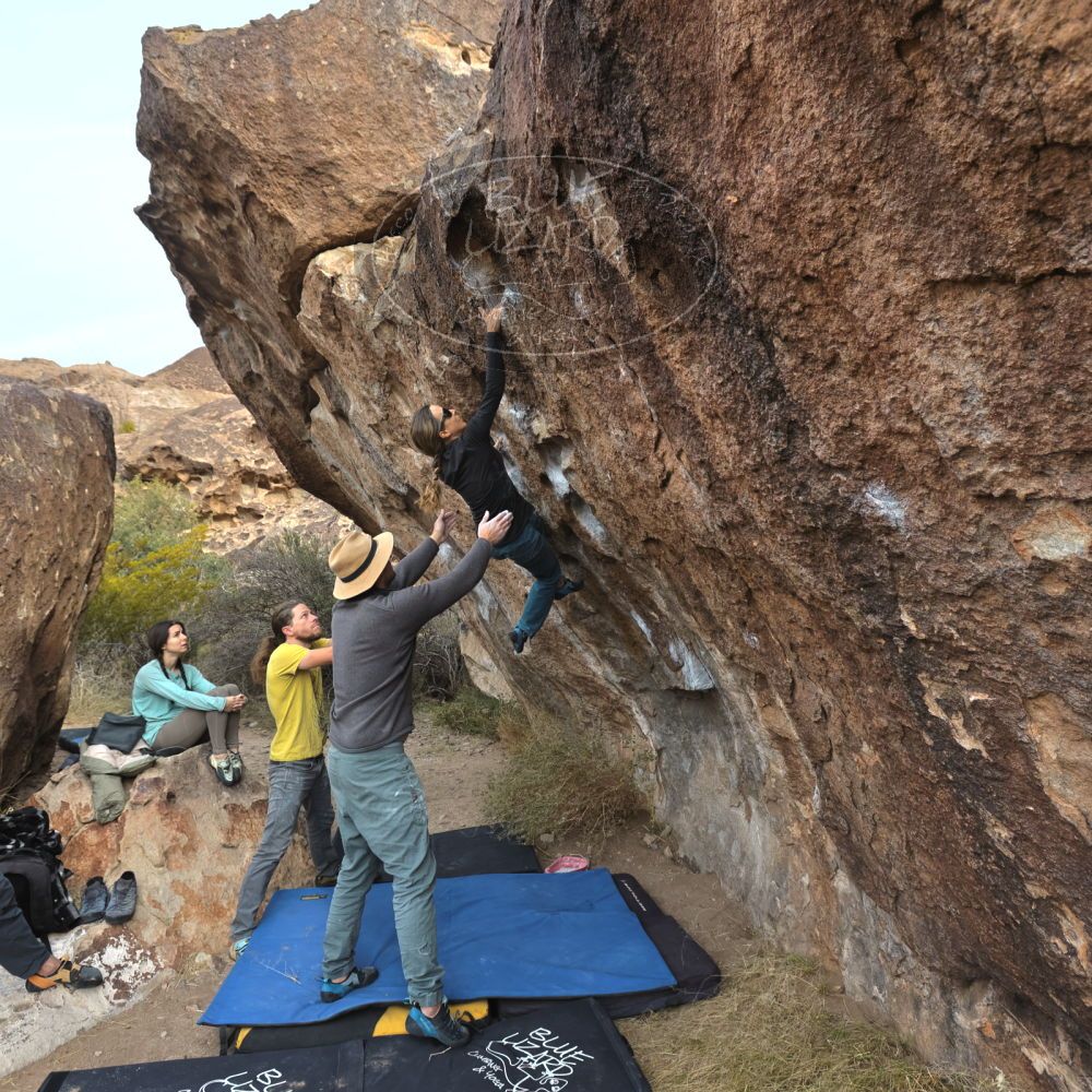 Filename: SRM_20221204_0912070.jpg
Aperture: f/5.6
Shutter Speed: 1/400
Body: Canon EOS R6
Lens: Canon EF 16-35mm f/2.8 L