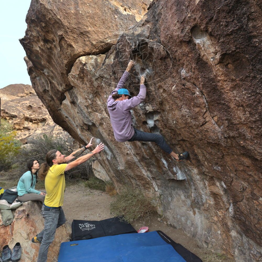 Filename: SRM_20221204_0913240.jpg
Aperture: f/5.6
Shutter Speed: 1/400
Body: Canon EOS R6
Lens: Canon EF 16-35mm f/2.8 L