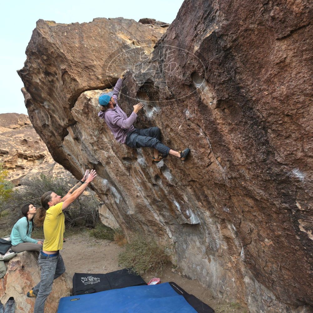 

Filename: SRM_20221204_0913310.jpg
Aperture: f/5.6
Shutter Speed: 1/400
Body: Canon EOS R6
Lens: Canon EF 16-35mm f/2.8 L