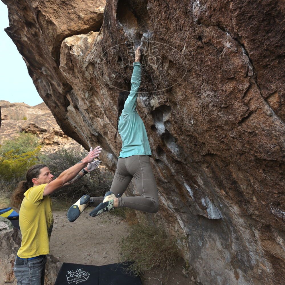 Filename: SRM_20221204_0915400.jpg
Aperture: f/5.6
Shutter Speed: 1/400
Body: Canon EOS R6
Lens: Canon EF 16-35mm f/2.8 L