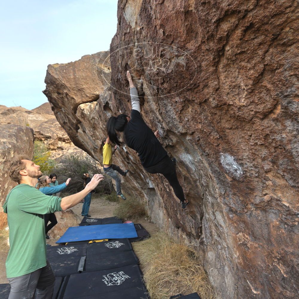 Filename: SRM_20221204_0922010.jpg
Aperture: f/5.6
Shutter Speed: 1/400
Body: Canon EOS R6
Lens: Canon EF 16-35mm f/2.8 L