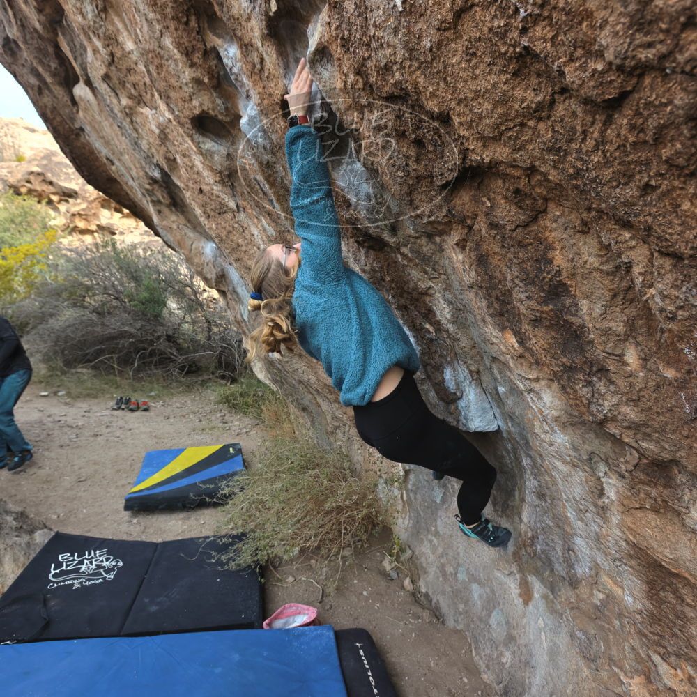 

Filename: SRM_20221204_0922420.jpg
Aperture: f/5.6
Shutter Speed: 1/400
Body: Canon EOS R6
Lens: Canon EF 16-35mm f/2.8 L