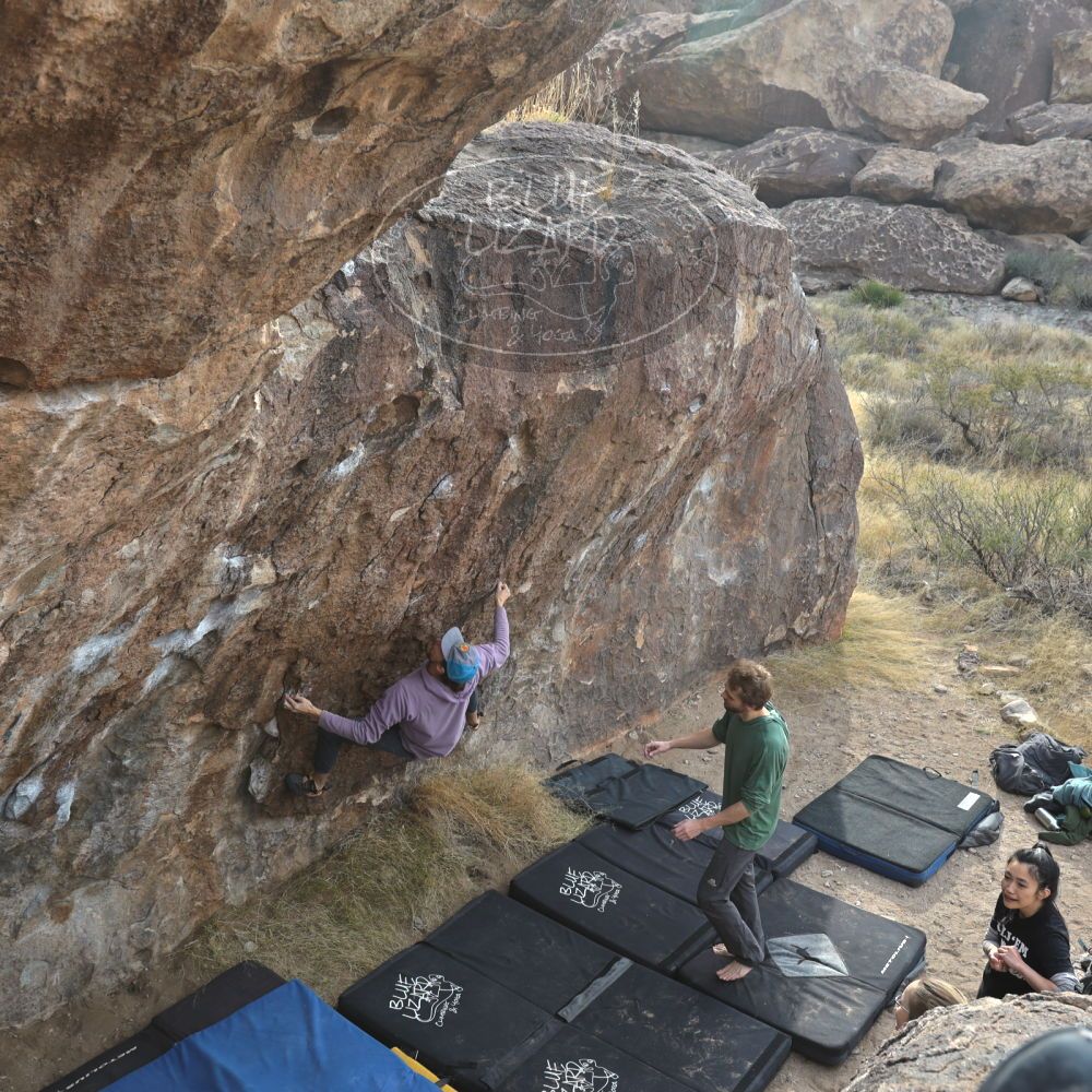 Filename: SRM_20221204_0925210.jpg
Aperture: f/5.6
Shutter Speed: 1/400
Body: Canon EOS R6
Lens: Canon EF 16-35mm f/2.8 L