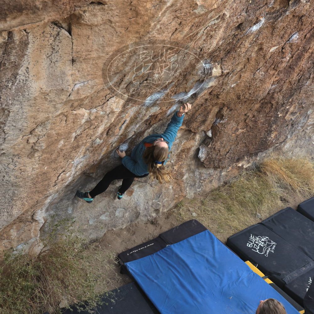 Filename: SRM_20221204_0928540.jpg
Aperture: f/7.1
Shutter Speed: 1/400
Body: Canon EOS R6
Lens: Canon EF 16-35mm f/2.8 L