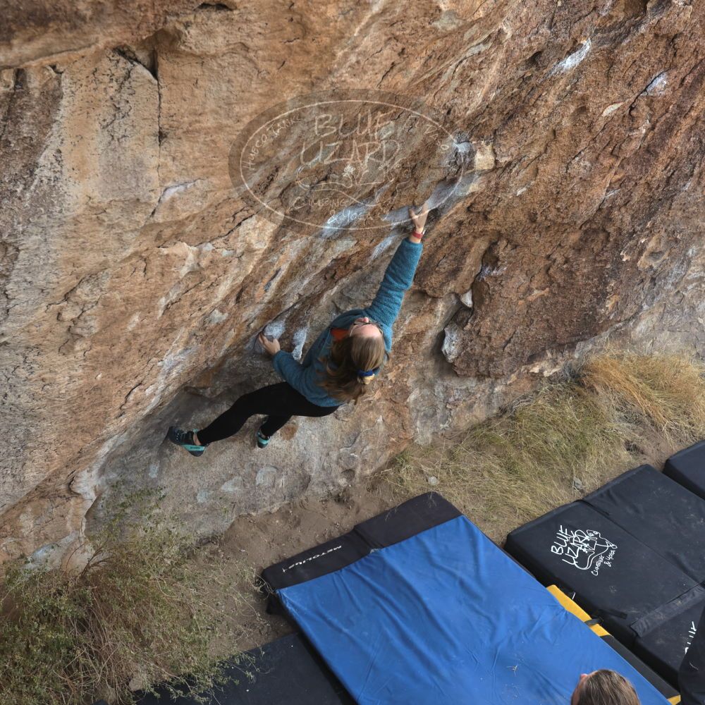 

Filename: SRM_20221204_0928541.jpg
Aperture: f/7.1
Shutter Speed: 1/400
Body: Canon EOS R6
Lens: Canon EF 16-35mm f/2.8 L