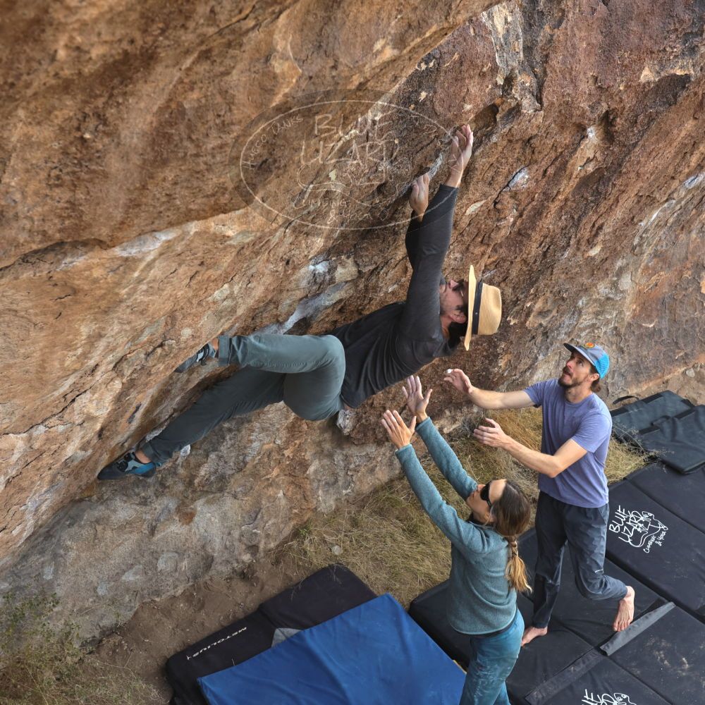 

Filename: SRM_20221204_0933560.jpg
Aperture: f/7.1
Shutter Speed: 1/400
Body: Canon EOS R6
Lens: Canon EF 16-35mm f/2.8 L