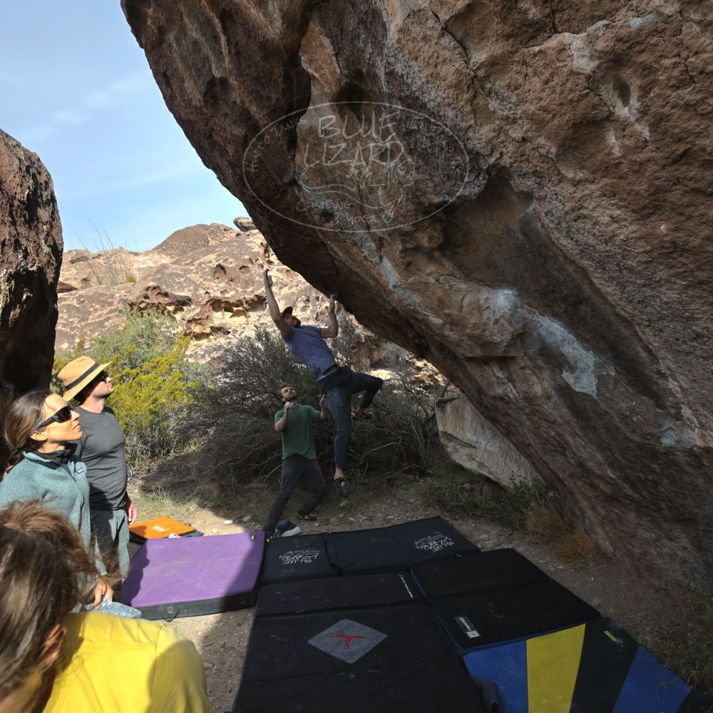 Filename: SRM_20221204_0958020.jpg
Aperture: f/7.1
Shutter Speed: 1/400
Body: Canon EOS R6
Lens: Canon EF 16-35mm f/2.8 L