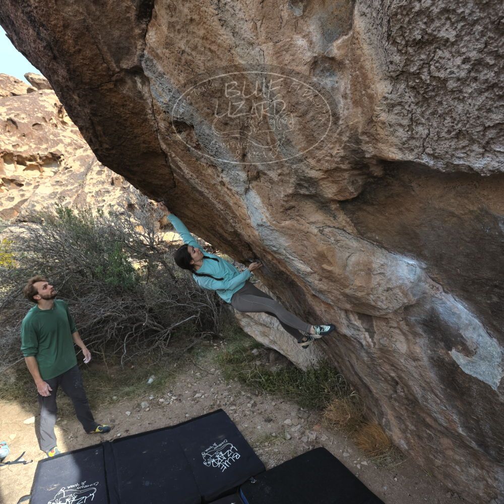 Filename: SRM_20221204_1002300.jpg
Aperture: f/7.1
Shutter Speed: 1/400
Body: Canon EOS R6
Lens: Canon EF 16-35mm f/2.8 L