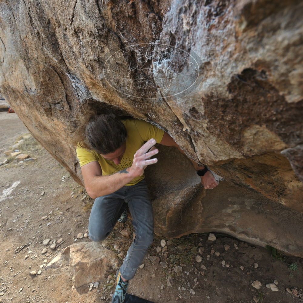 

Filename: SRM_20221204_1033020.jpg
Aperture: f/7.1
Shutter Speed: 1/400
Body: Canon EOS R6
Lens: Canon EF 16-35mm f/2.8 L