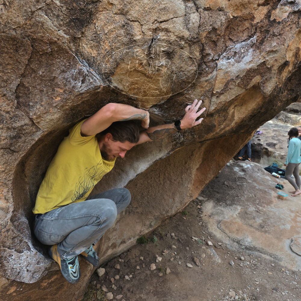 Filename: SRM_20221204_1033330.jpg
Aperture: f/7.1
Shutter Speed: 1/400
Body: Canon EOS R6
Lens: Canon EF 16-35mm f/2.8 L