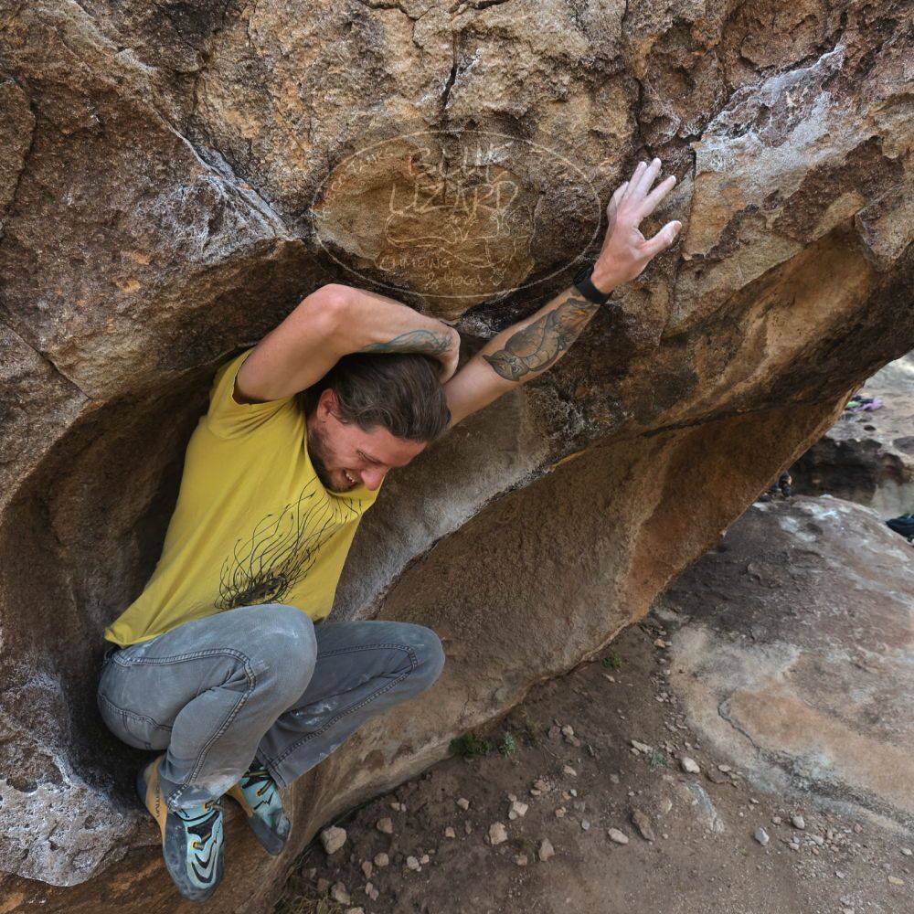 

Filename: SRM_20221204_1033350.jpg
Aperture: f/7.1
Shutter Speed: 1/400
Body: Canon EOS R6
Lens: Canon EF 16-35mm f/2.8 L