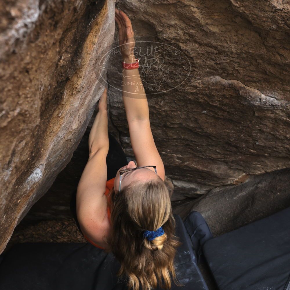 Filename: SRM_20221204_1046080.jpg
Aperture: f/7.1
Shutter Speed: 1/400
Body: Canon EOS R6
Lens: Canon EF 16-35mm f/2.8 L