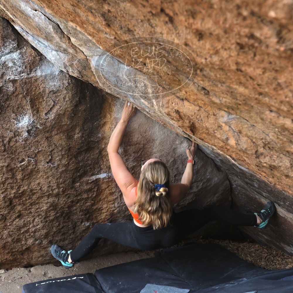 Filename: SRM_20221204_1051110.jpg
Aperture: f/7.1
Shutter Speed: 1/400
Body: Canon EOS R6
Lens: Canon EF 16-35mm f/2.8 L