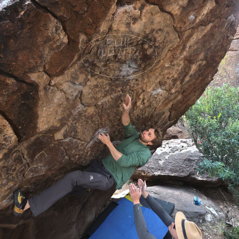 Filename: SRM_20221204_1054430.jpg
Aperture: f/7.1
Shutter Speed: 1/400
Body: Canon EOS R6
Lens: Canon EF 16-35mm f/2.8 L