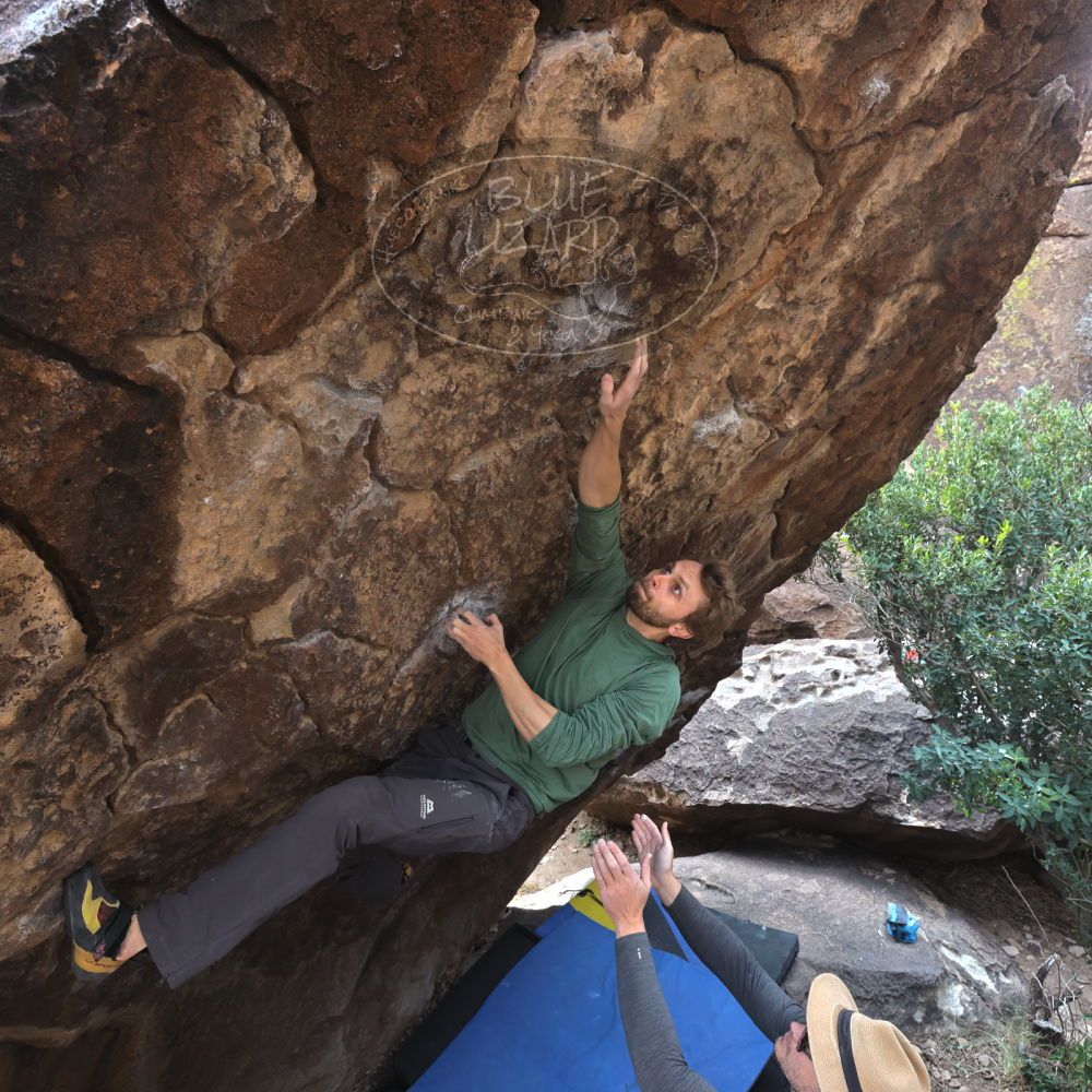 

Filename: SRM_20221204_1054431.jpg
Aperture: f/7.1
Shutter Speed: 1/400
Body: Canon EOS R6
Lens: Canon EF 16-35mm f/2.8 L