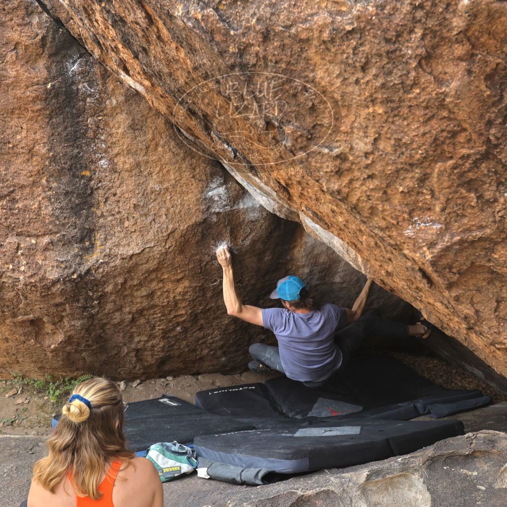 Filename: SRM_20221204_1059400.jpg
Aperture: f/7.1
Shutter Speed: 1/400
Body: Canon EOS R6
Lens: Canon EF 16-35mm f/2.8 L