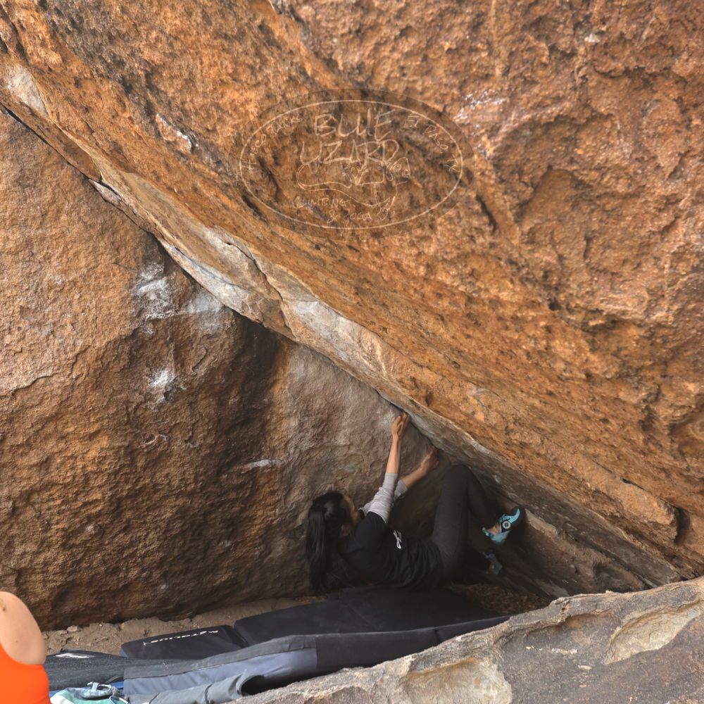 

Filename: SRM_20221204_1101410.jpg
Aperture: f/7.1
Shutter Speed: 1/400
Body: Canon EOS R6
Lens: Canon EF 16-35mm f/2.8 L