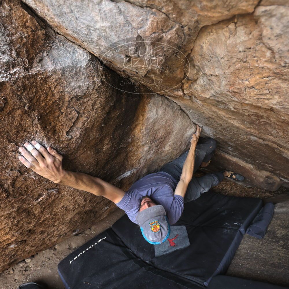 Filename: SRM_20221204_1107231.jpg
Aperture: f/7.1
Shutter Speed: 1/400
Body: Canon EOS R6
Lens: Canon EF 16-35mm f/2.8 L