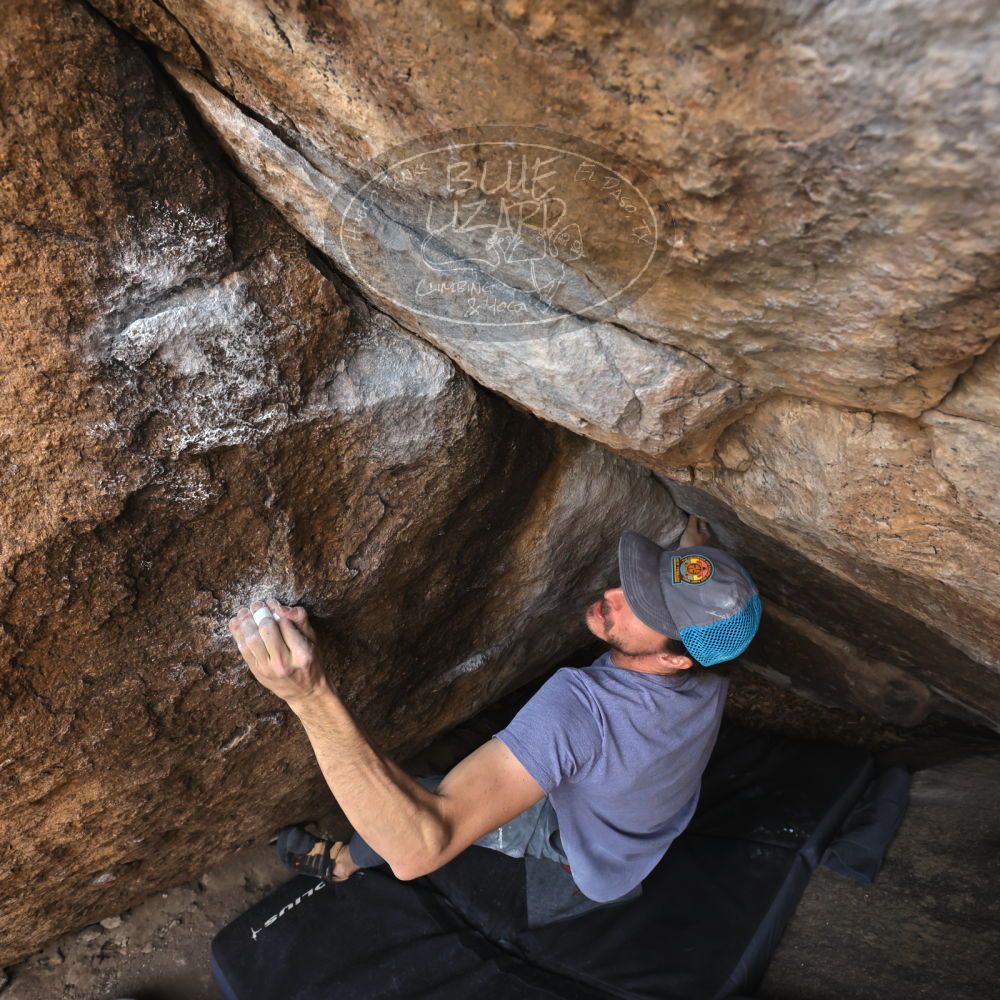 

Filename: SRM_20221204_1107300.jpg
Aperture: f/7.1
Shutter Speed: 1/400
Body: Canon EOS R6
Lens: Canon EF 16-35mm f/2.8 L