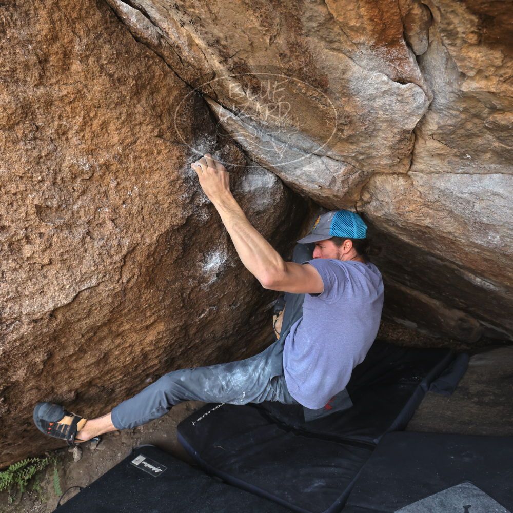 Filename: SRM_20221204_1107370.jpg
Aperture: f/7.1
Shutter Speed: 1/400
Body: Canon EOS R6
Lens: Canon EF 16-35mm f/2.8 L