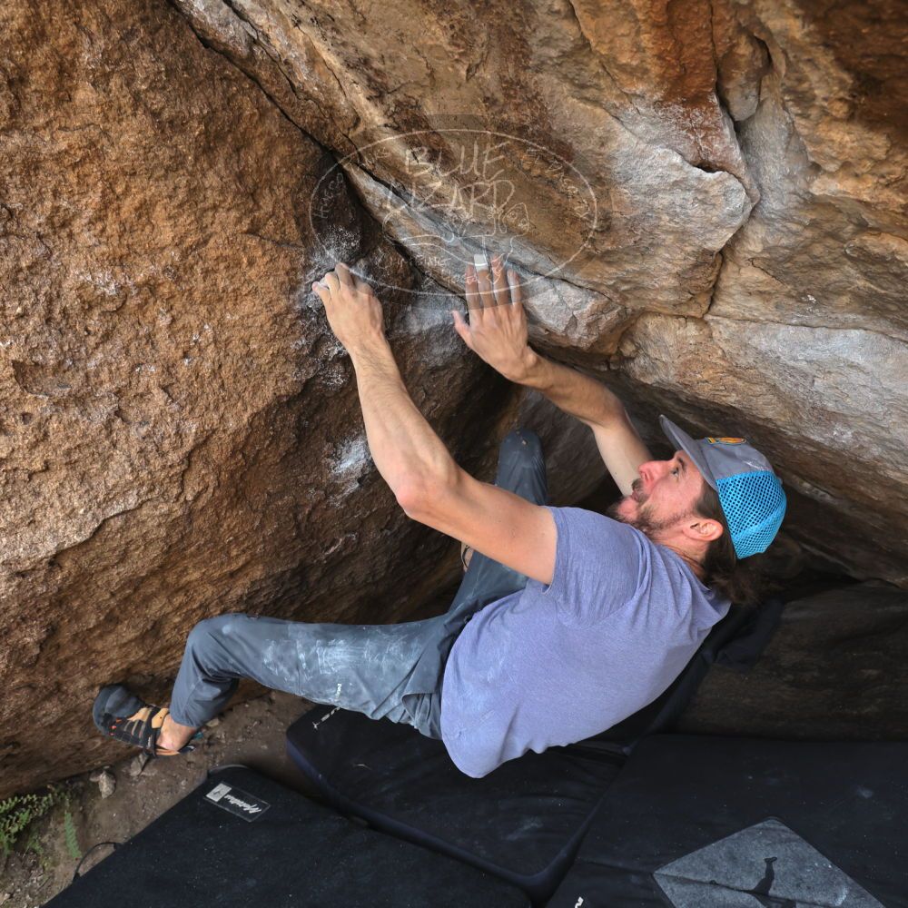 

Filename: SRM_20221204_1107391.jpg
Aperture: f/7.1
Shutter Speed: 1/400
Body: Canon EOS R6
Lens: Canon EF 16-35mm f/2.8 L