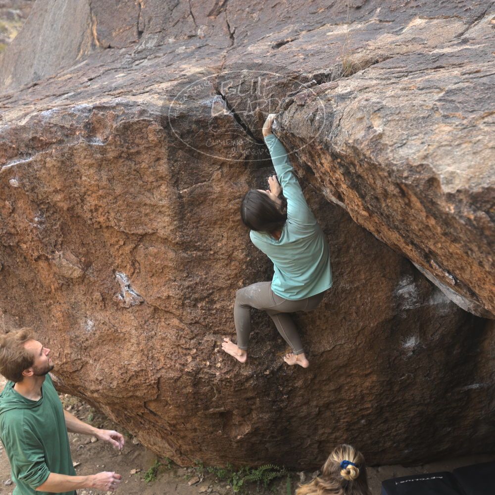 

Filename: SRM_20221204_1112310.jpg
Aperture: f/3.2
Shutter Speed: 1/400
Body: Canon EOS R6
Lens: Canon EF 16-35mm f/2.8 L