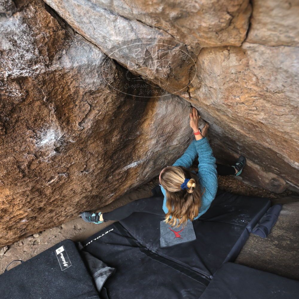 Filename: SRM_20221204_1114490.jpg
Aperture: f/5.6
Shutter Speed: 1/400
Body: Canon EOS R6
Lens: Canon EF 16-35mm f/2.8 L