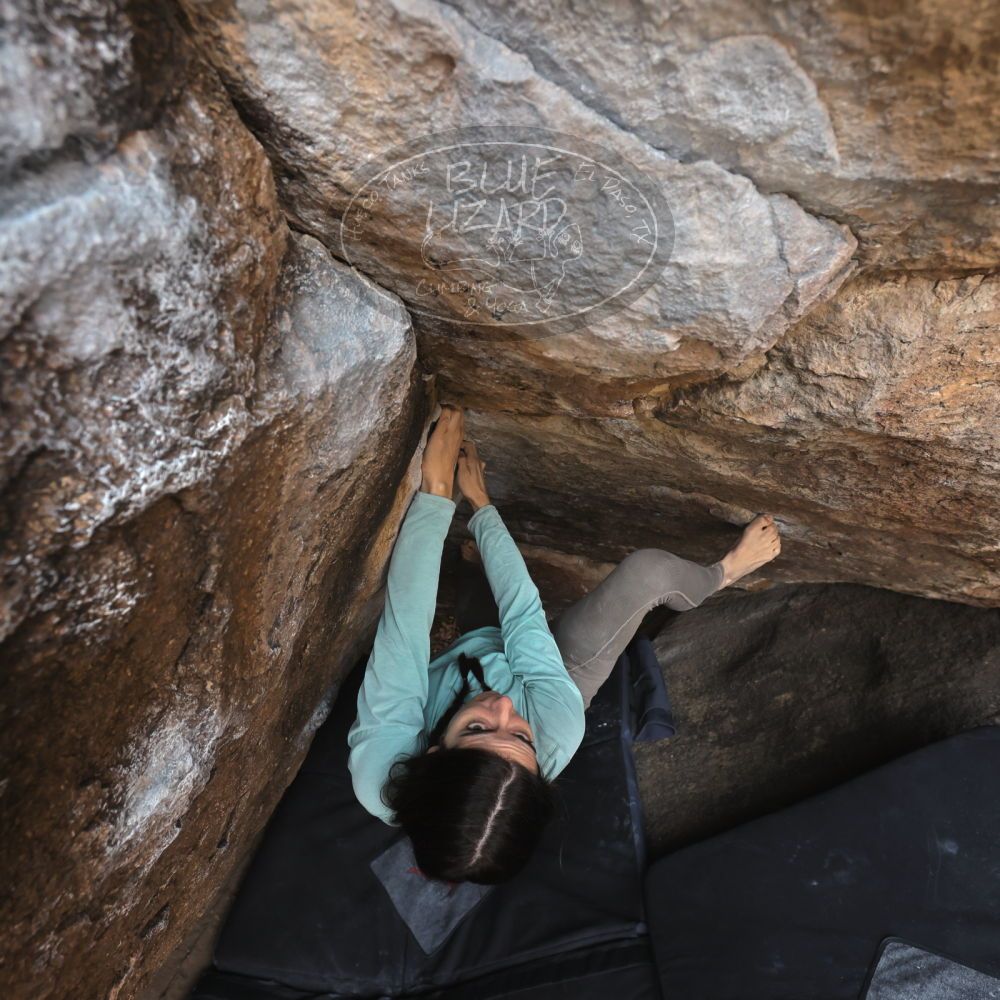 Filename: SRM_20221204_1120450.jpg
Aperture: f/5.6
Shutter Speed: 1/400
Body: Canon EOS R6
Lens: Canon EF 16-35mm f/2.8 L