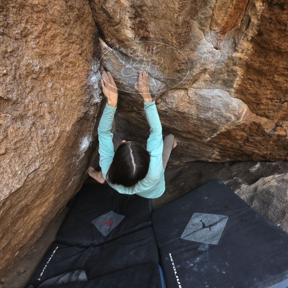 Filename: SRM_20221204_1120500.jpg
Aperture: f/5.6
Shutter Speed: 1/400
Body: Canon EOS R6
Lens: Canon EF 16-35mm f/2.8 L