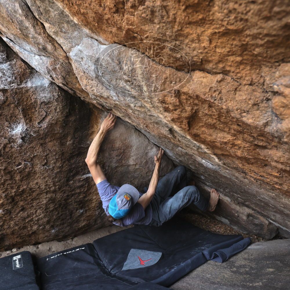 

Filename: SRM_20221204_1122530.jpg
Aperture: f/5.6
Shutter Speed: 1/400
Body: Canon EOS R6
Lens: Canon EF 16-35mm f/2.8 L