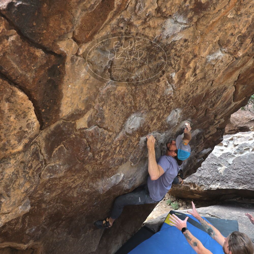 Filename: SRM_20221204_1135162.jpg
Aperture: f/5.6
Shutter Speed: 1/400
Body: Canon EOS R6
Lens: Canon EF 16-35mm f/2.8 L