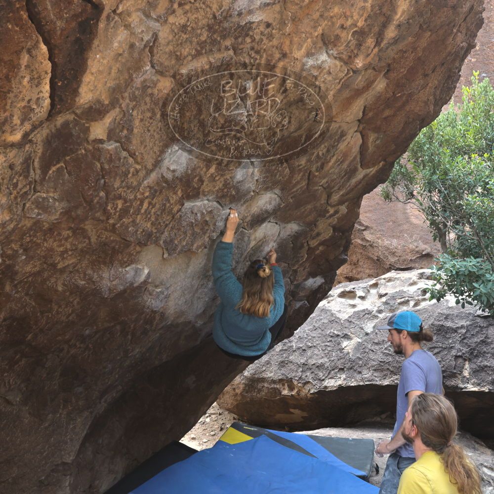 Filename: SRM_20221204_1135560.jpg
Aperture: f/5.6
Shutter Speed: 1/400
Body: Canon EOS R6
Lens: Canon EF 16-35mm f/2.8 L