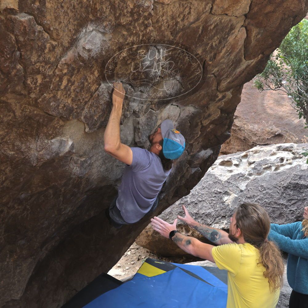 Filename: SRM_20221204_1136510.jpg
Aperture: f/5.6
Shutter Speed: 1/400
Body: Canon EOS R6
Lens: Canon EF 16-35mm f/2.8 L