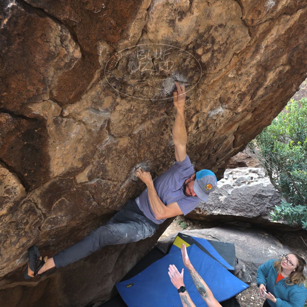 Filename: SRM_20221204_1137082.jpg
Aperture: f/5.6
Shutter Speed: 1/400
Body: Canon EOS R6
Lens: Canon EF 16-35mm f/2.8 L